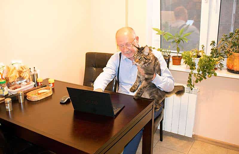 Anatoly Yunitskiy với chú mèo: Dự án công nghệ giao thông sáng tạo SkyWay, họ không phải là người duy nhất